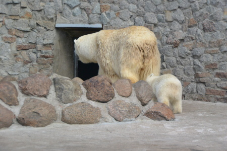 f0344626_00081187.jpg