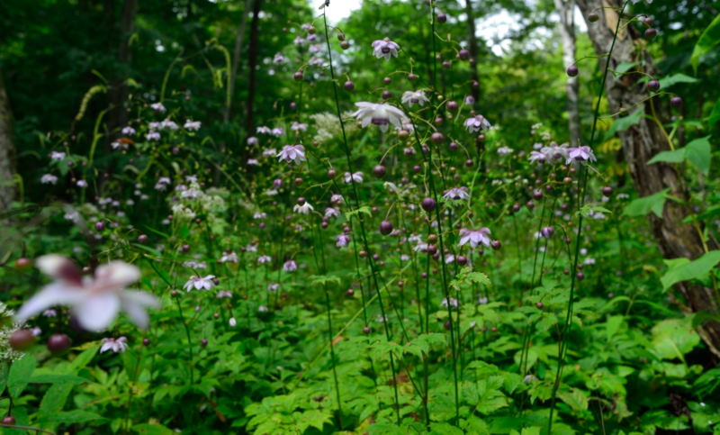 f0229527_15324295.jpg