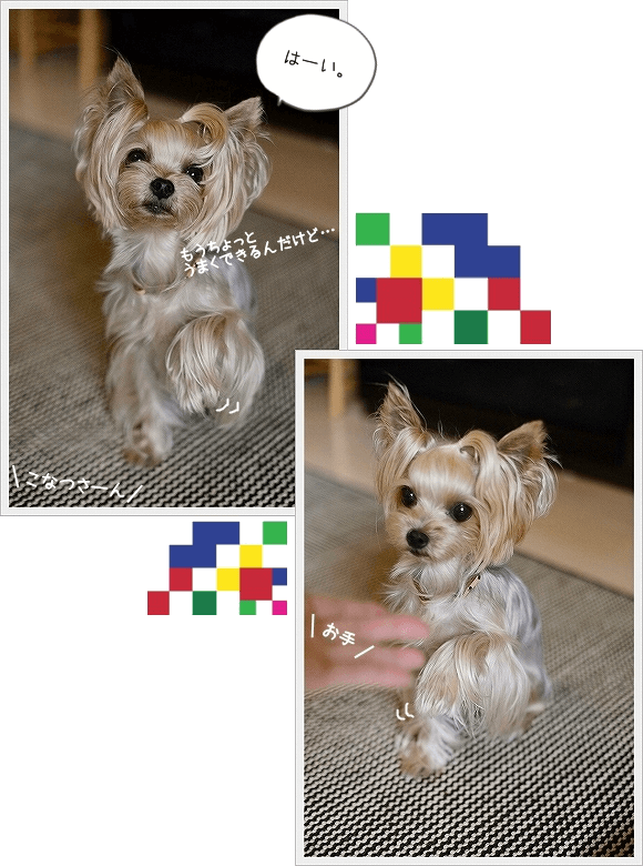 d0179828_21292766.png