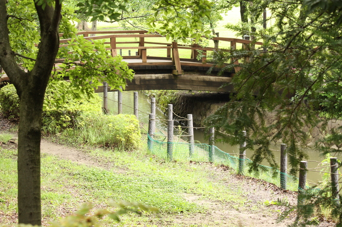 a0214329_8124528.jpg