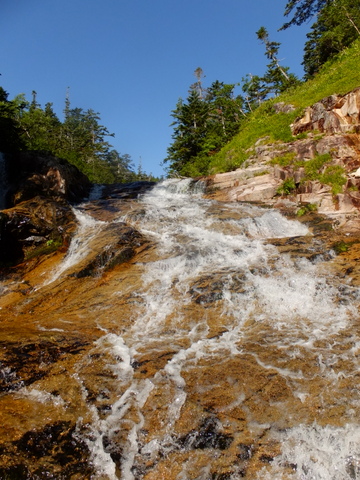 b0281732_2565538.jpg