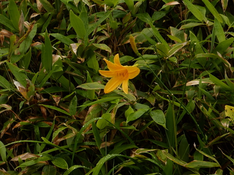 b0281732_3282956.jpg
