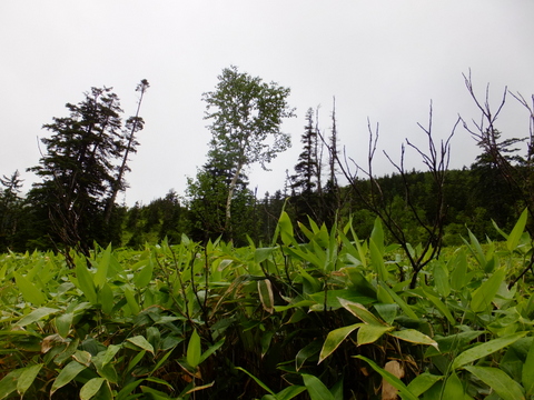 b0281732_3285293.jpg
