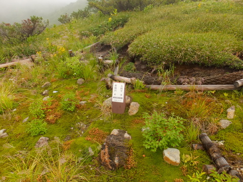 b0281732_3295431.jpg