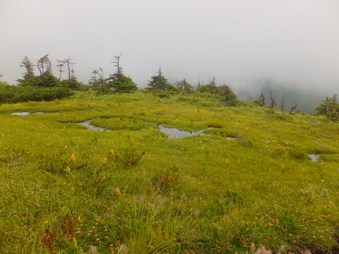 b0281732_330340.jpg