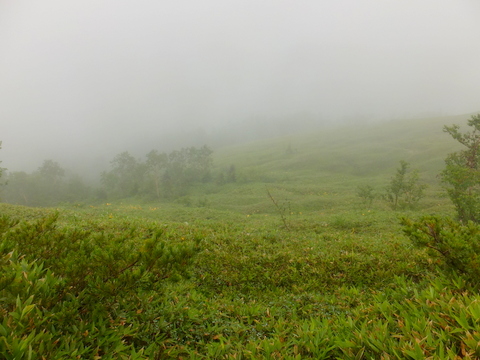 b0281732_3315623.jpg