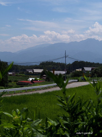b0343934_21373626.jpg