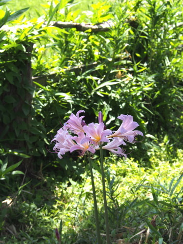 b0343934_21375033.jpg