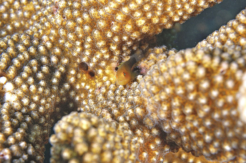 b0042837_17573073.jpg