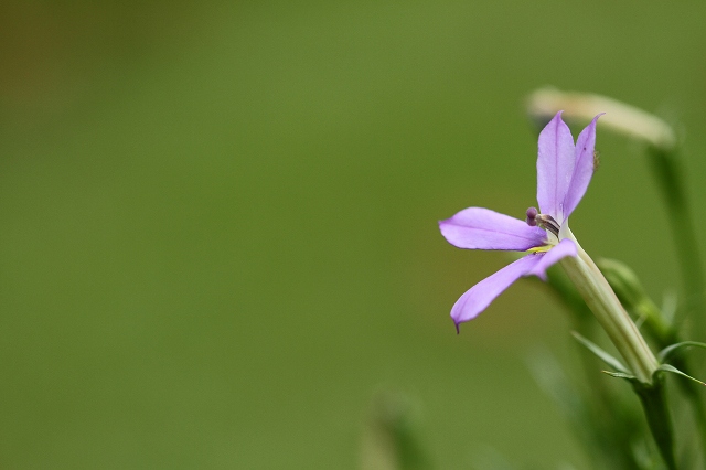a0242438_18283895.jpg
