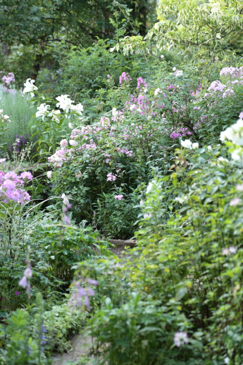 a0258549_12545346.jpg