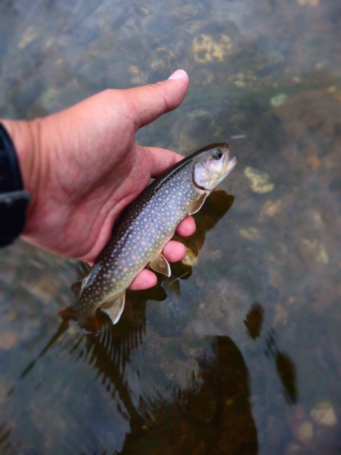 e0212759_074980.jpg