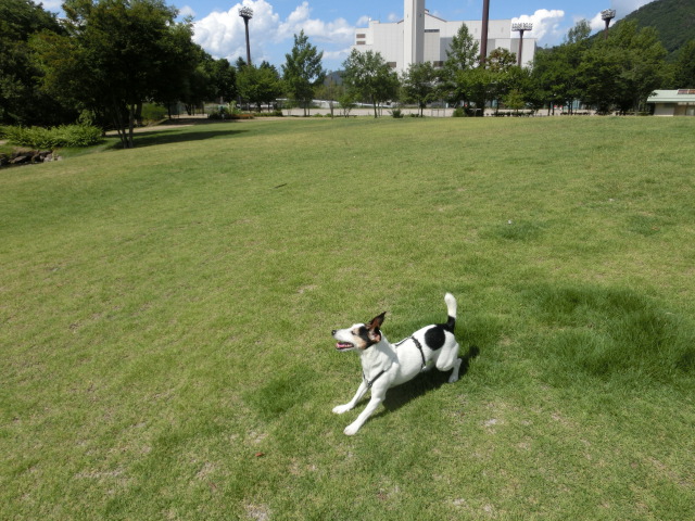 c0140260_21252719.jpg
