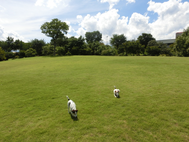 c0140260_21255395.jpg