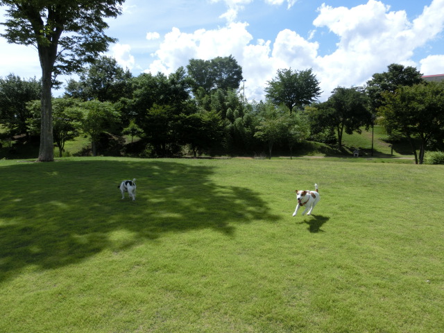 c0140260_21272970.jpg