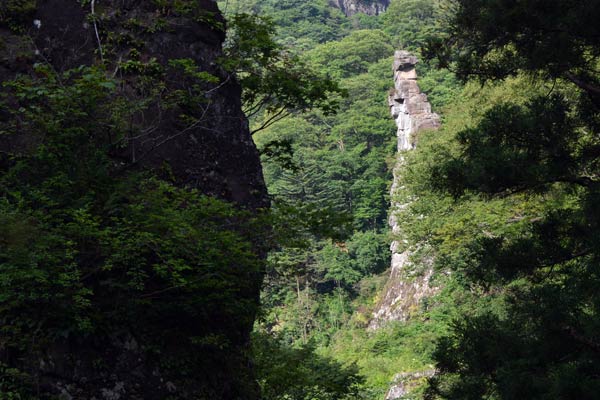 c0043361_6591558.jpg