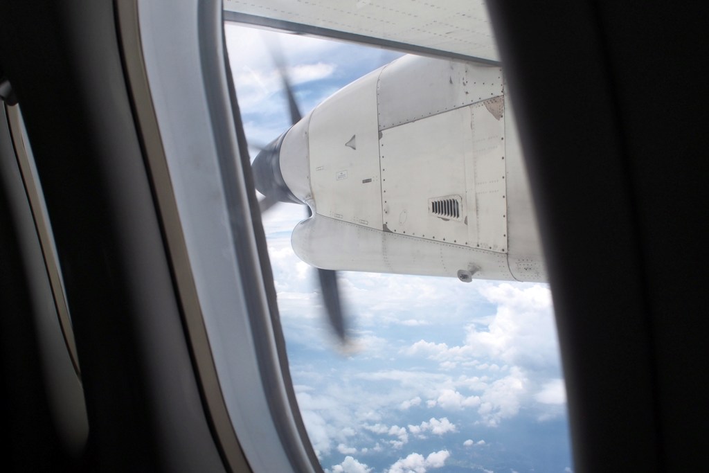 d0090161_895547.jpg