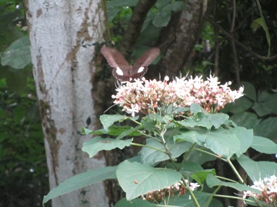 b0149071_18103626.jpg
