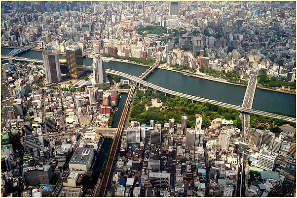 b0340572_903329.jpg