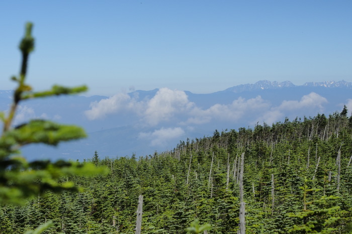 e0307372_19321695.jpg