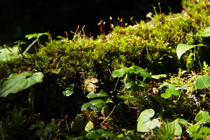 e0307372_20191049.jpg