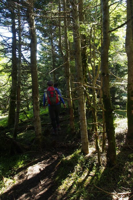 e0307372_20201262.jpg