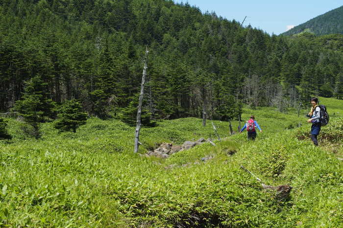 e0307372_21265974.jpg