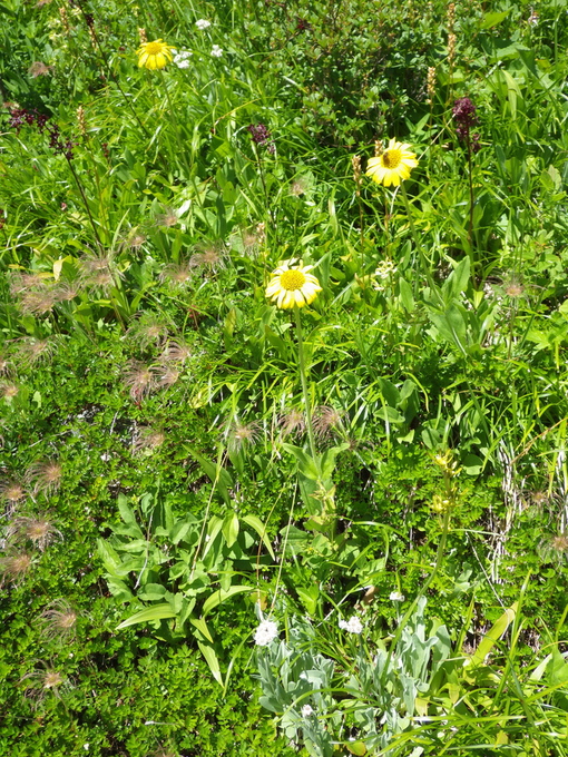 a0094280_8341416.jpg