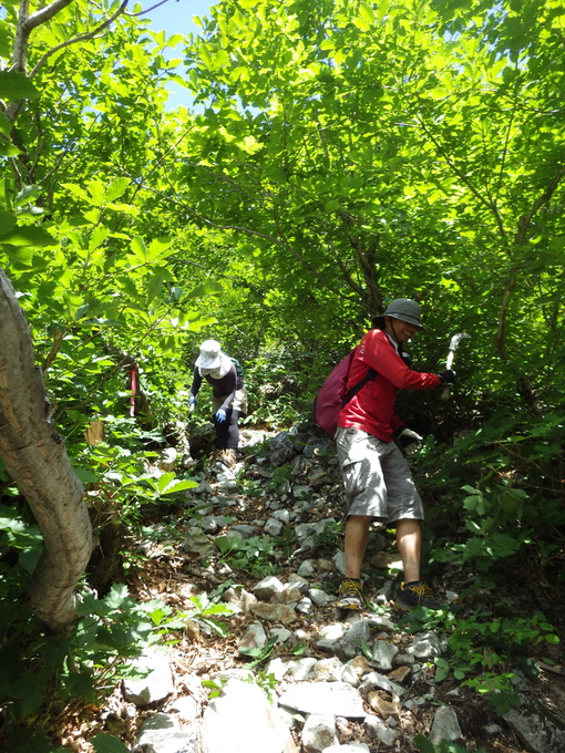 a0094280_97291.jpg