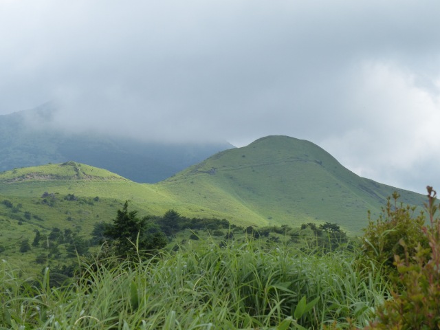 f0357487_6131882.jpg