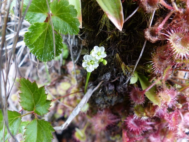 f0357487_6191150.jpg