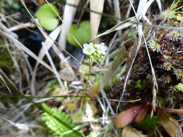 f0357487_6201458.jpg