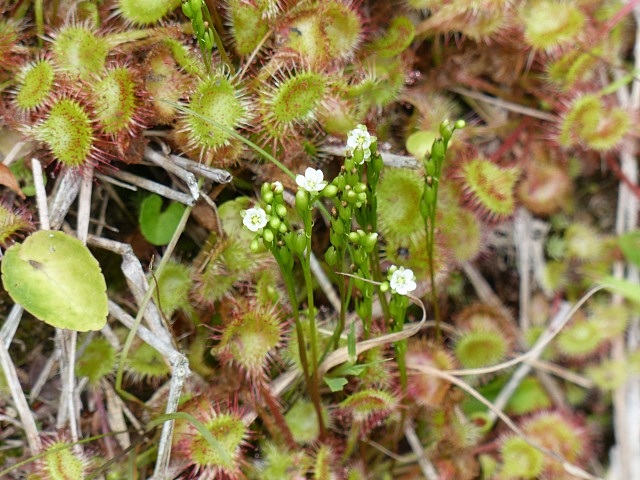 f0357487_6202752.jpg