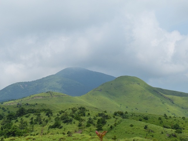 f0357487_6234554.jpg
