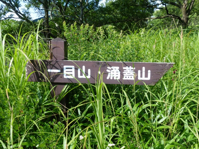 f0357487_681762.jpg