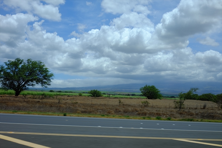 f0113108_849381.jpg