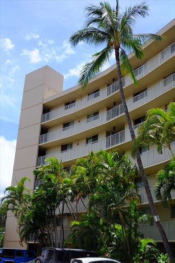 f0113108_8502614.jpg