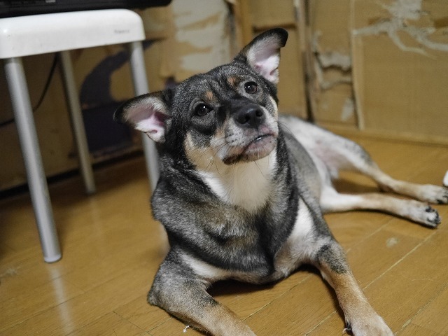 f0282319_520959.jpg