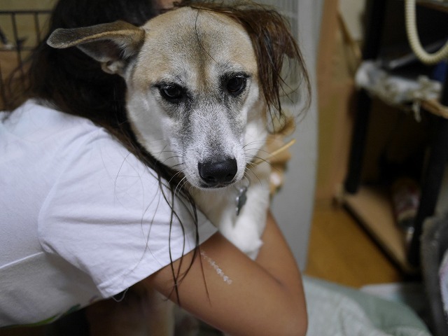 f0282319_5271177.jpg