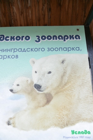 f0344626_01291290.jpg