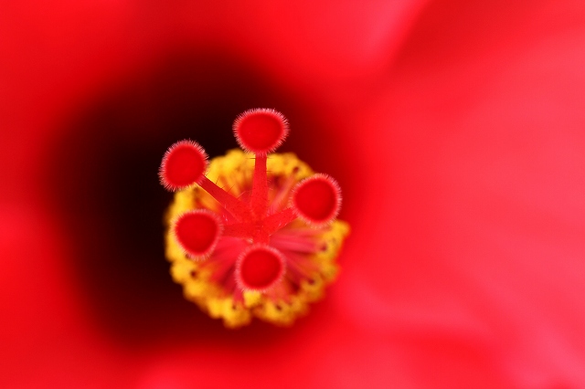 a0242438_18441154.jpg