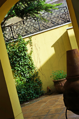 a0135840_956531.jpg