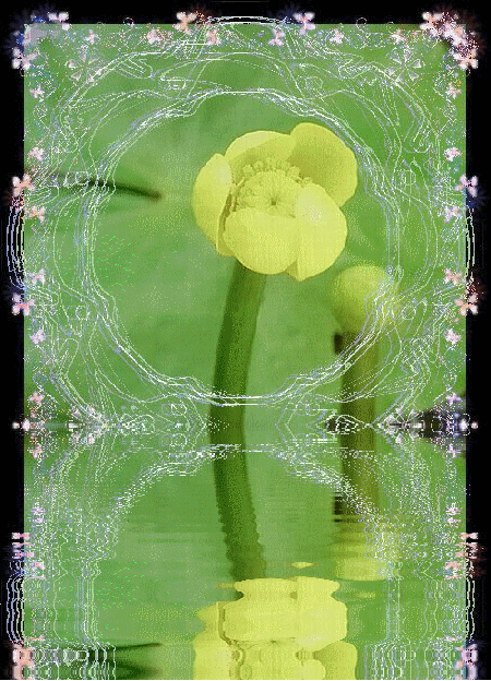 b0133752_1746090.gif