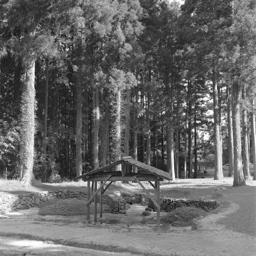 e0264158_13075299.jpg