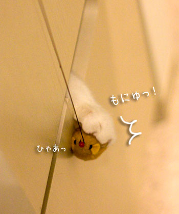 a0119470_21151818.jpg