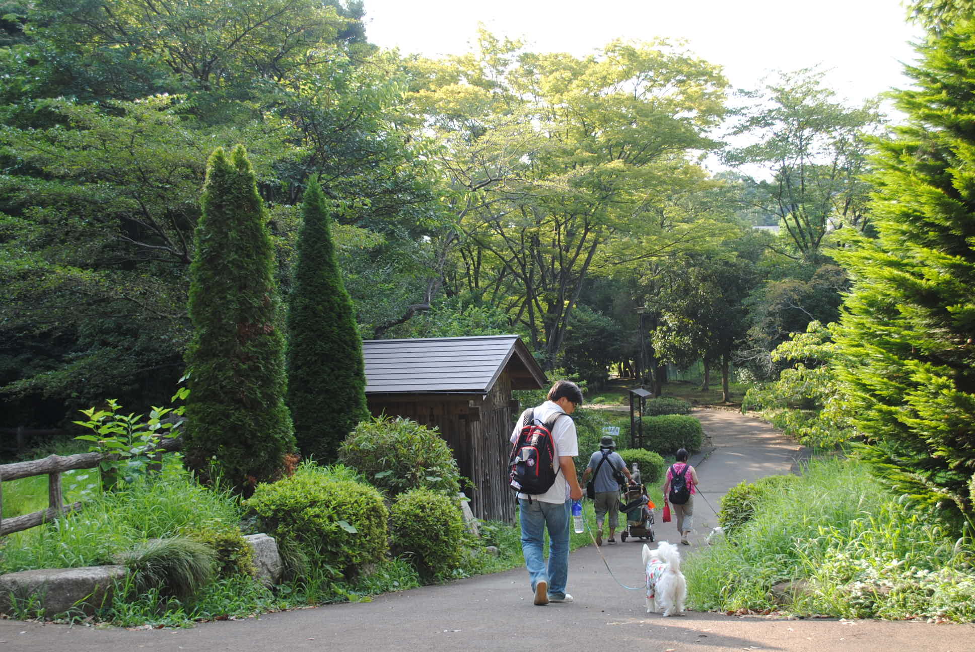 b0242873_12414278.jpg