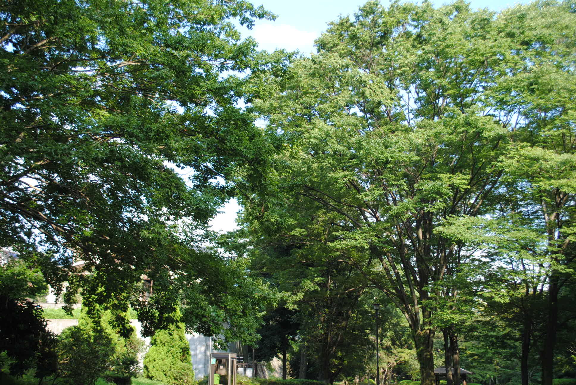 b0242873_12422528.jpg