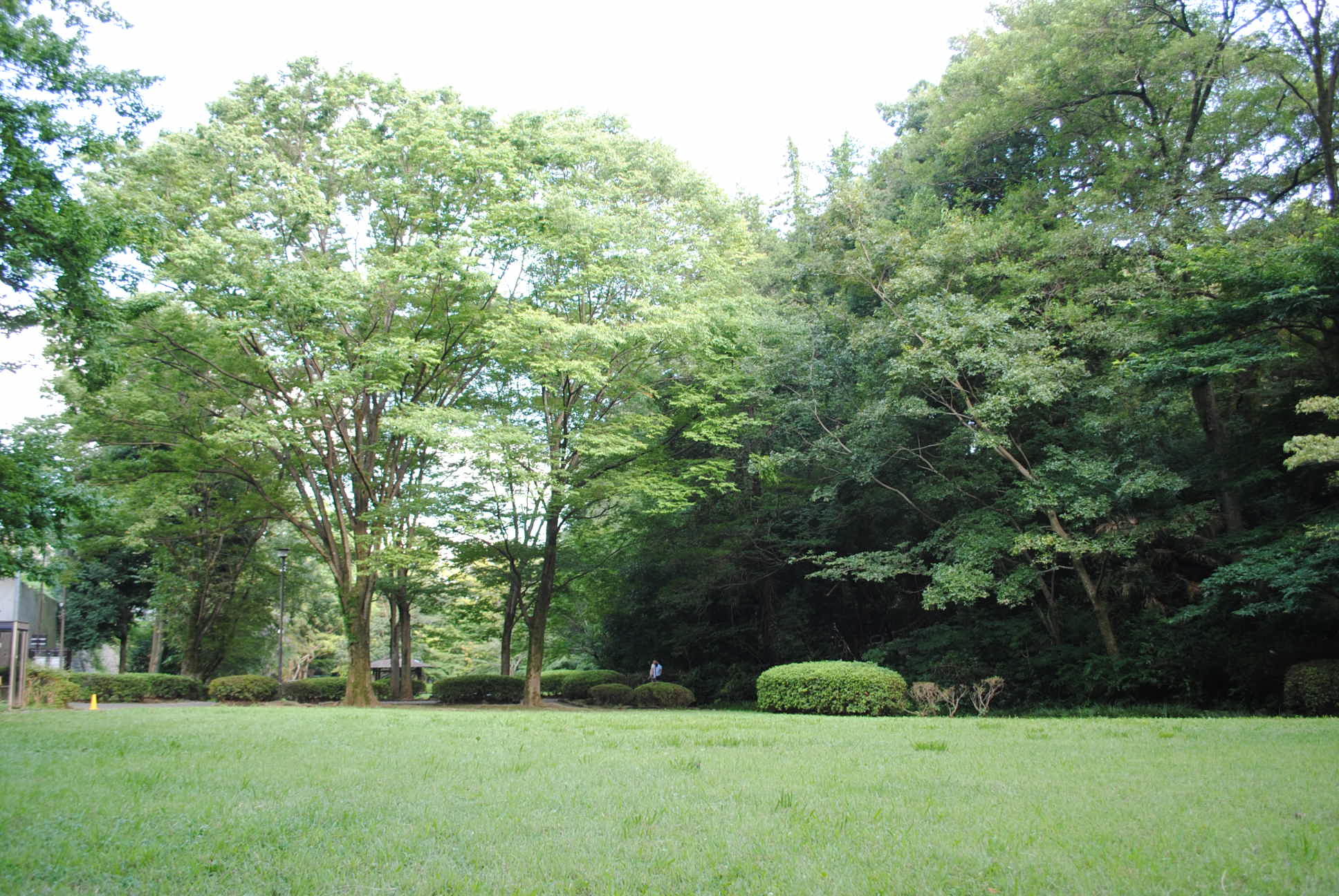 b0242873_12432169.jpg