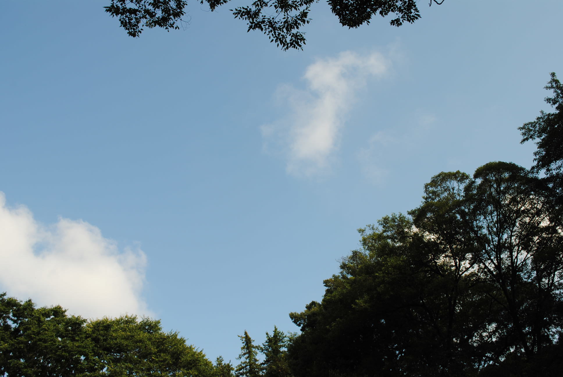 b0242873_12510197.jpg