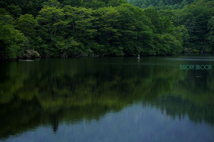b0150077_11211880.jpg